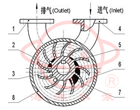 2SK雙級(jí)水環(huán)式真空泵工作原理指示圖